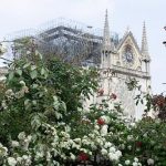 Trabalhos de reconstrução na Catedral de Notre Dame de Paris, França. Foto: Jami430