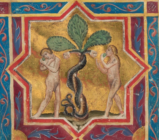 Fruto proibido Adão e Eva 2