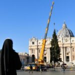 Arvore de Natal do Papa chega ao Vaticano