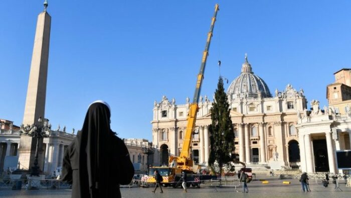 Arvore de Natal do Papa chega ao Vaticano