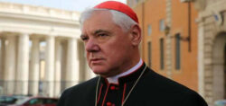 Cardeal Müller: o apelo a uma "fraternidade universal" sem Jesus Cristo é uma corrida louca na terra de ninguém.
