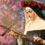 santa rita cassia