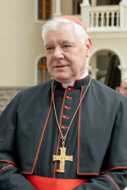Cardeal Muller se pronuncia sobre Traditionis Custodes 2