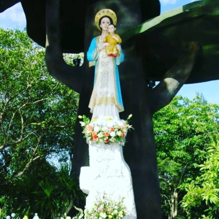 Vietna renova sua consagracao a Nossa Senhora de La Vang