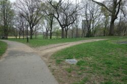 1620px Central Park North Meadow td 2019 04 18 012