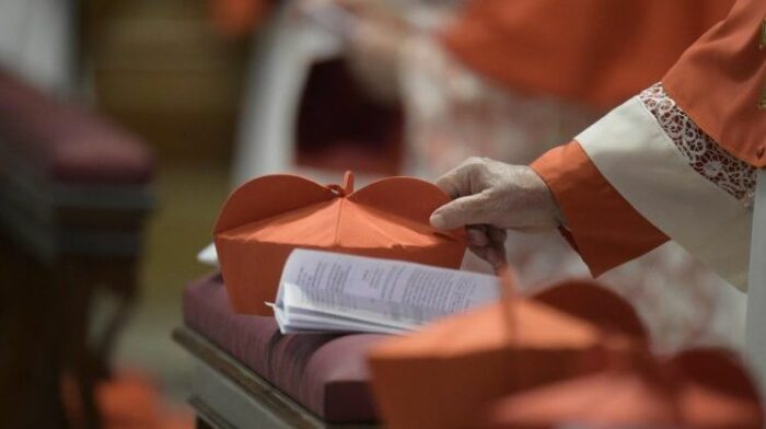 Papa Francisco criara 21 novos cardeais no consistorio deste sabado 1