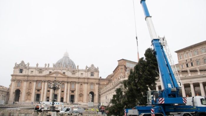 Arvore de Natal do Papa chega a Praca de Sao Pedro no Vaticano 2