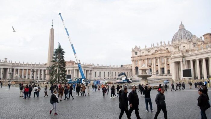 Arvore de Natal do Papa chega a Praca de Sao Pedro no Vaticano
