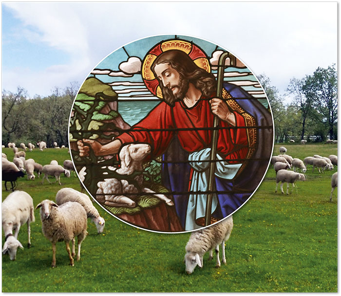 Domingo do Bom Pastor podese dar