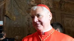 Cardeal Gerhard Ludwig Müller. Foto: Vatican news