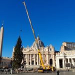 Vaticano divulga informacoes sobre arvore de Natal e presepio da Praca de Sao Pedro 1
