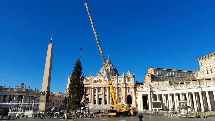 Vaticano divulga informacoes sobre arvore de Natal e presepio da Praca de Sao Pedro 1