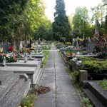 vista de um cemiterio com lapides