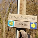 Caminho de Santiago de Compostela bate recorde de peregrinos