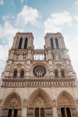 Catedral Notre-Dame Paris. Foto: Max Avans/ pexels
