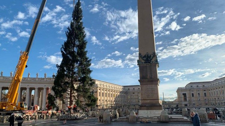 Inauguracao do presepio e arvore de Natal do Vaticano sera em 7 de dezembro