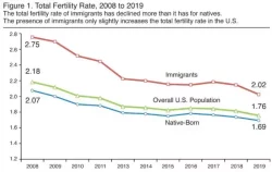 fertilidad inmigrantes nativos 700x443 1