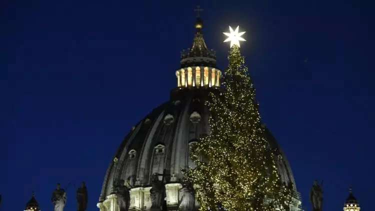 Pinheiro de Natal chega a Praca Sao Pedro