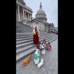 presepio capitolio