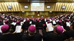 Foto: Secretariat.synod.va