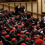 De onde vem os Cardeais que elegerao o novo Papa 1