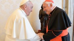 Foto: Vatican news