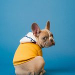 karsten winegeart oU6KZTXhuvk unsplash
