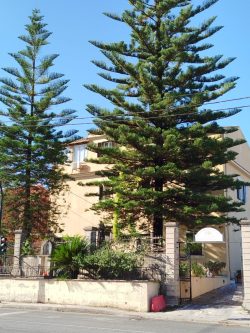 Grécia: após quatro séculos, mosteiro católico dos capuchinhos em Corfu encerra atividades 3 540603042 1292897782370048 565282452744731054 n