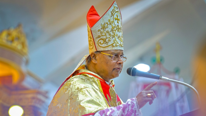 India Milhoes de fieis celebram festividade mariana na ‘Lourdes do Oriente 5