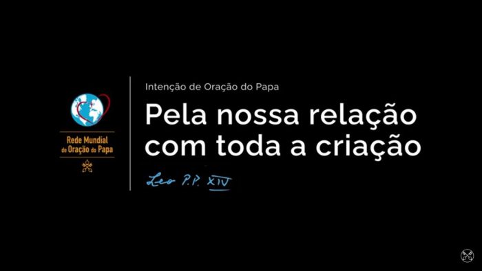 Leao XIV pede para que se reze pela nossa relacao com toda a criacao