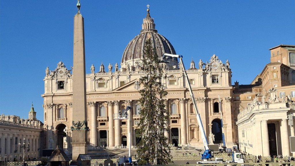 Vaticano divulga detalhes sobre Árvore de Natal e Presépio da Praça de São Pedro 2 Vaticano divulga detalhes sobre Arvore de Natal e Presepio da Praca de Sao Pedro 1