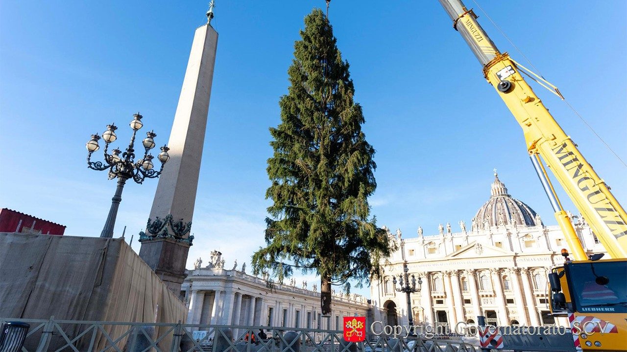 Presépio e árvore de Natal do Vaticano serão inaugurados no dia 15 de dezembro 2 Presepio e arvore de Natal do Vaticano serao inaugurados no dia 15 de dezembro