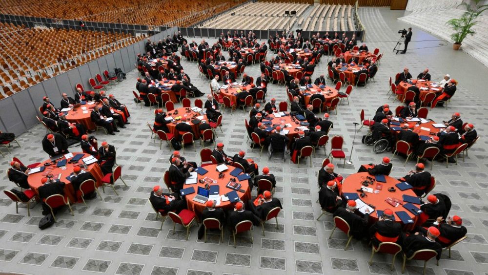 Consistório: Sinodalidade e Missão são os temas escolhidos pelos Cardeais 4 Consistorio Sinodalidade e Missao sao os temas escolhidos pelos Cardeais 3