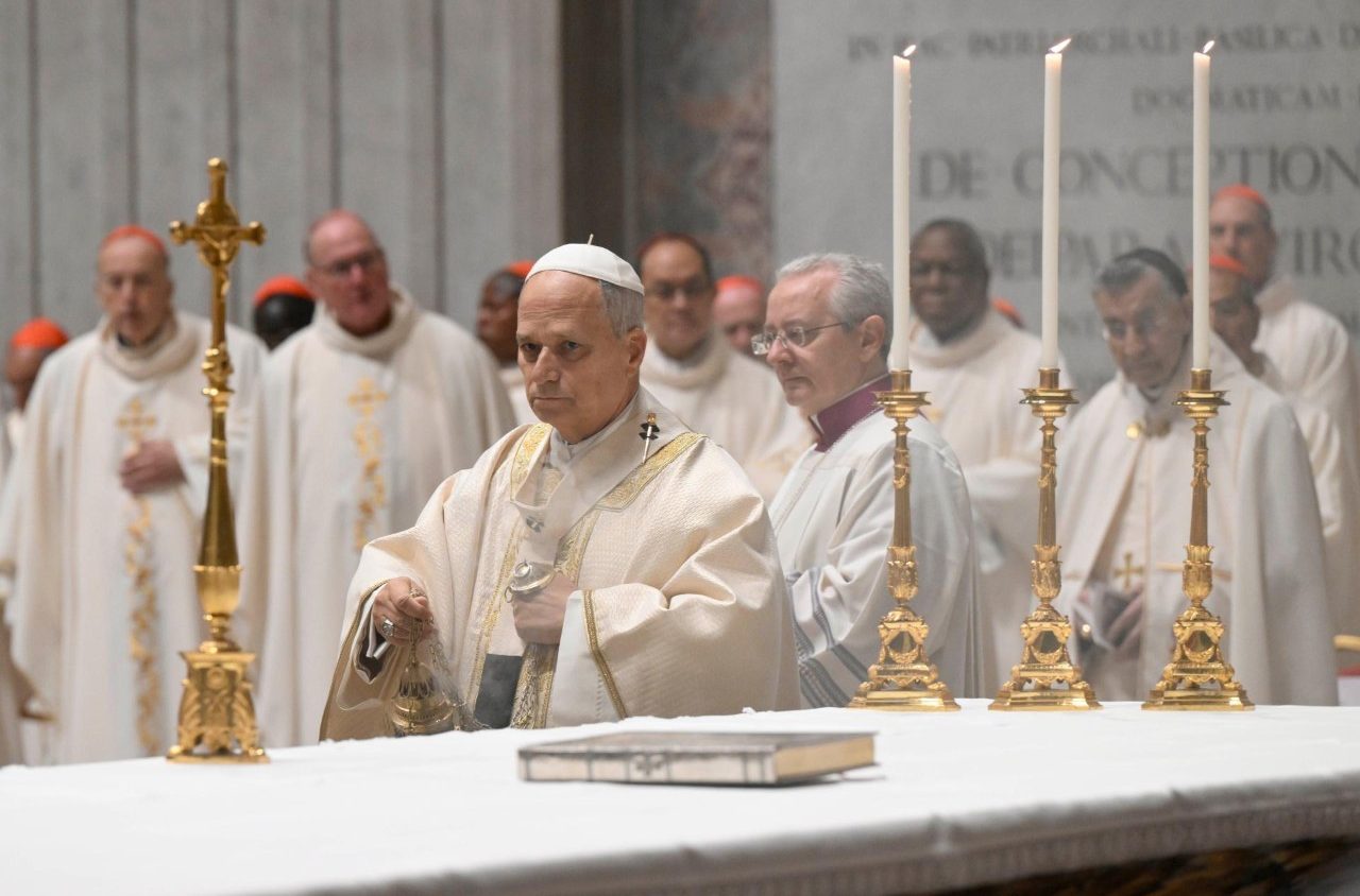 “Os Cardeais formam uma comunidade de Fé, não uma equipe de especialistas”, diz Leão XIV 4 Os Cardeais formam uma comunidade de Fe nao uma equipe de especialistas diz Leao XIV 2