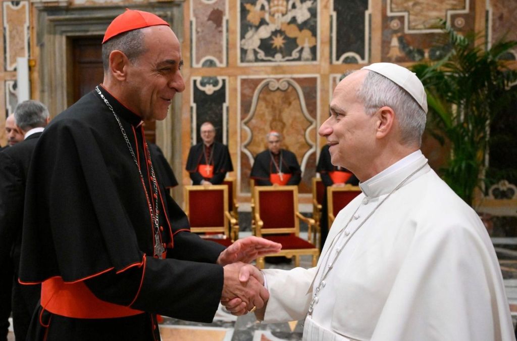 Papa Leão XIV convida a redescobrir a alegria de evangelizar 2 Papa Leao XIV convida a redescobrir a alegria de evangelizar 3