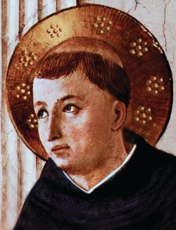 São Tomás Magno 2 Foto: RAE