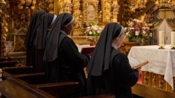 Crise vocacional nos EUA: a maioria dos institutos religiosos não registrou votos perpétuos em 2025 2 Foto: Diócesis de Canarias