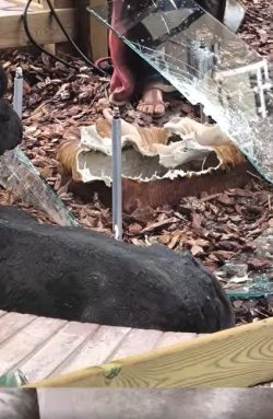 Espanha: onda de ataques a presépios e símbolos religiosos 2 Foto: screenhot/ Concejales de Vox en Santa Lucía de Tirajana/ Facebook