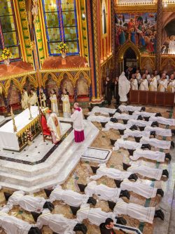 Oásis de fé: a vitória da fidelidade e da paciência 2 670836802 18595511110017554 6574110491697370618 n