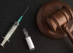 Bispo francês faz forte apelo contra a legalização da eutanásia 2 6 8 aspect ratio 394 290