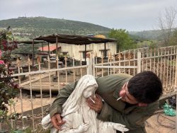 Líbano: dois soldados israelenses profanam imagem de Nossa Senhora 2 Foto: rede social X
