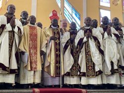 África: oito novos sacerdotes Dehonianos nos Camarões 2 Foto: dehoniani.org