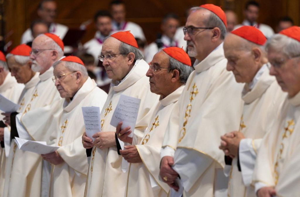 "A Igreja viva é a Igreja que acredita", afirma Leão XIV na Missa de abertura do Consistório 5 A Igreja viva e a Igreja que acredita afirma Leao XIV na Missa de abertura do Consistorio 4