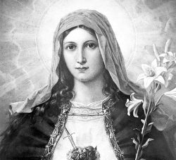 Por que Imaculado Coração de Maria? 2 Imaculado Coracao de Maria