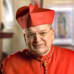 Cardeal Burke sugere acabar com a sinodalidade e criar um dicastério para liturgia tradicional 2 Foto: Facebook