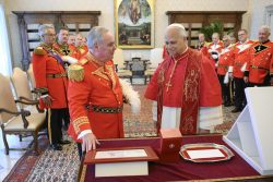 Reformas na Ordem de Malta: Leão XIV promove equilíbrio entre governança interna e identidade religiosa 2 Foto: Vatican Media
