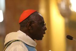 Cardeal Sarah chama de “míope” a guerra à liturgia antiga e diz que ela ajuda a corrigir abusos 2 cardeal sarah3