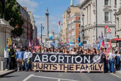 Grande Marcha pela Vida em Londres: 15 bispos participaram 2 Foto: March For Life UK/ Facebook