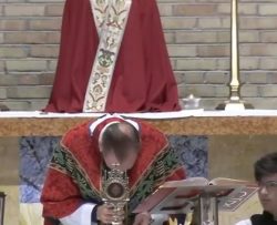 Sacerdote é tomado por uma emoção intensa durante consagração na missa 2 Pe. Brent Bowman