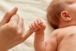 A vida é dom de Deus: um chamado renovado à defesa da dignidade humana desde a concepção 2 Foto: Magnific.com